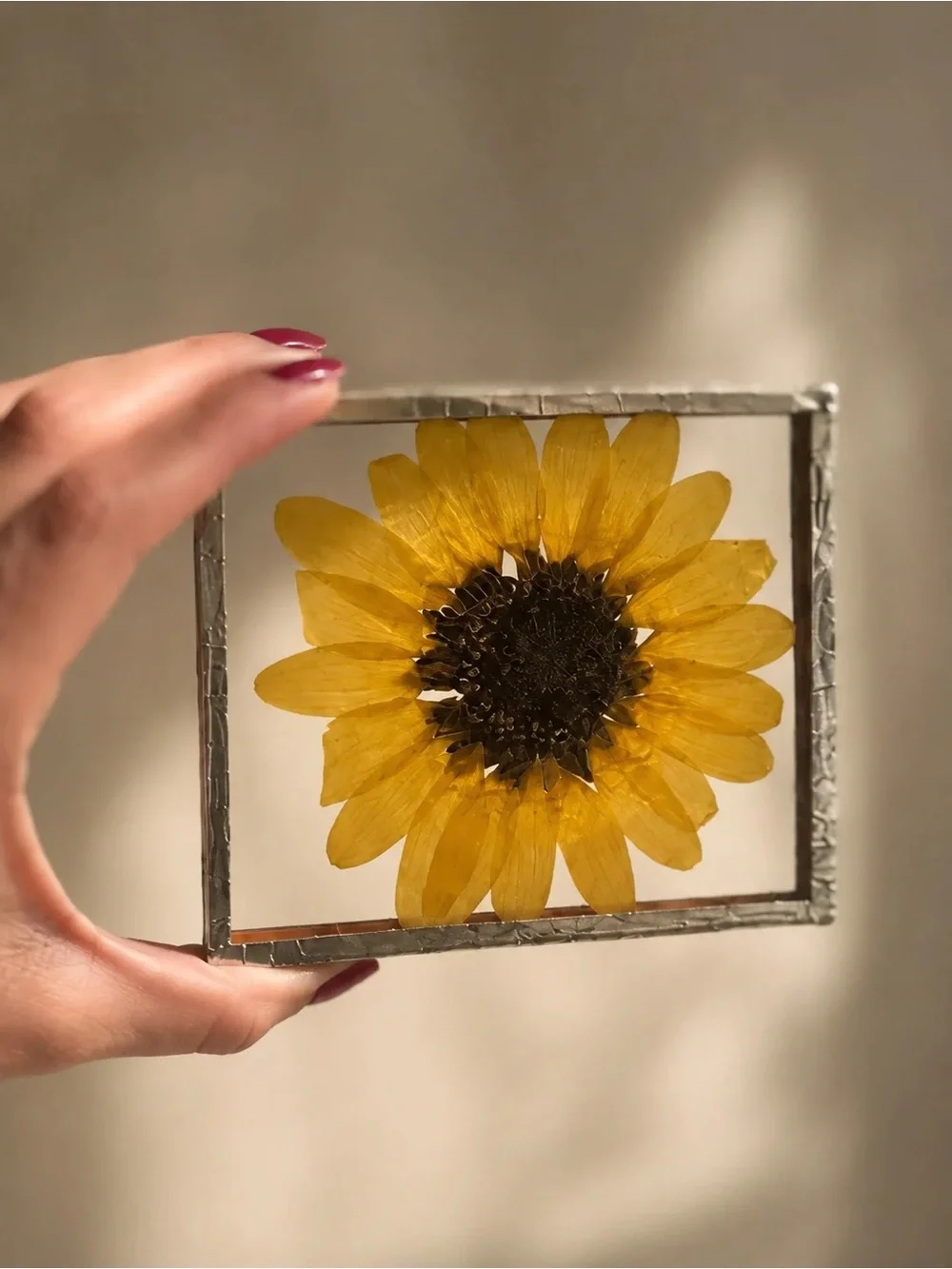 Botanical sunflower frame